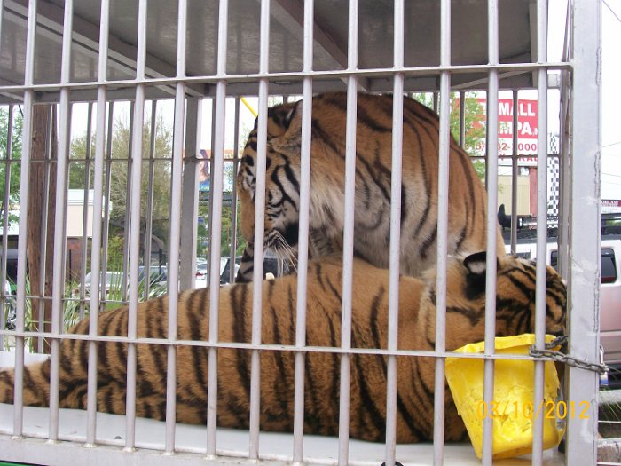 2012-Mar-10HGR4X4_4Wheelparts 014